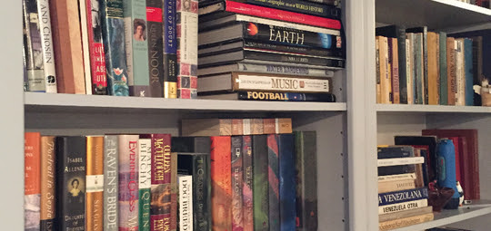 Typical Bookshelf