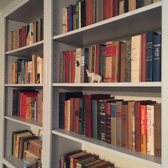 Organized Bookshelf