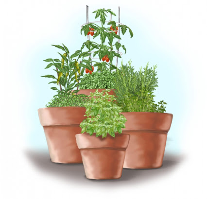 Drawing of potted plants