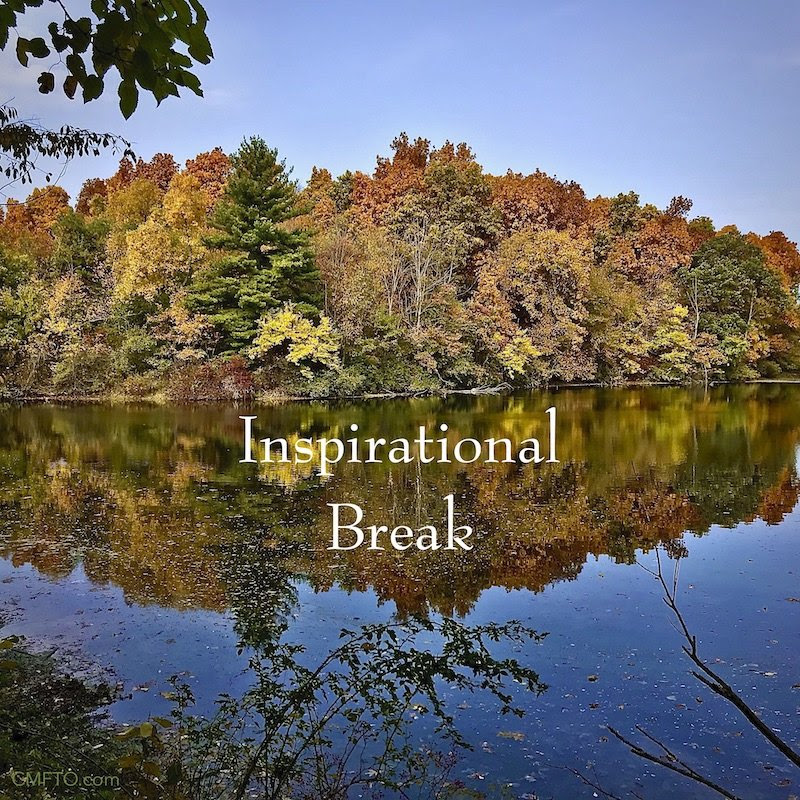 Fall leaves and trees by the lake